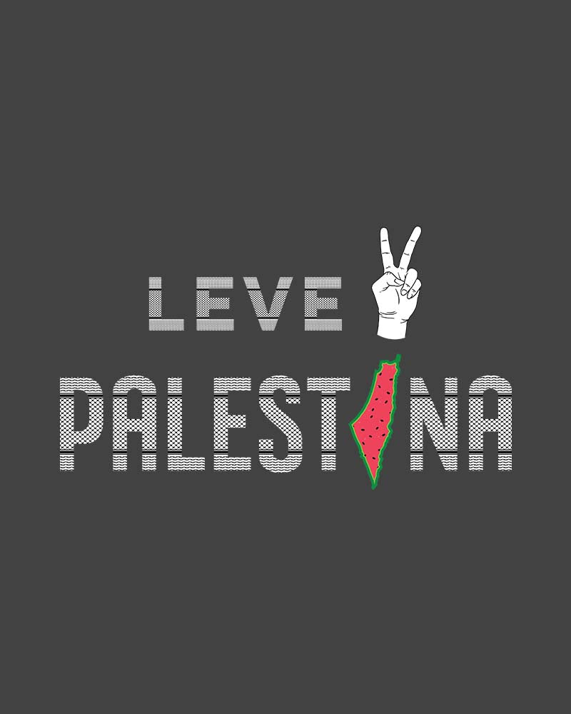 Leve Palestina - Kufiyah Oversized Faded T-shirt