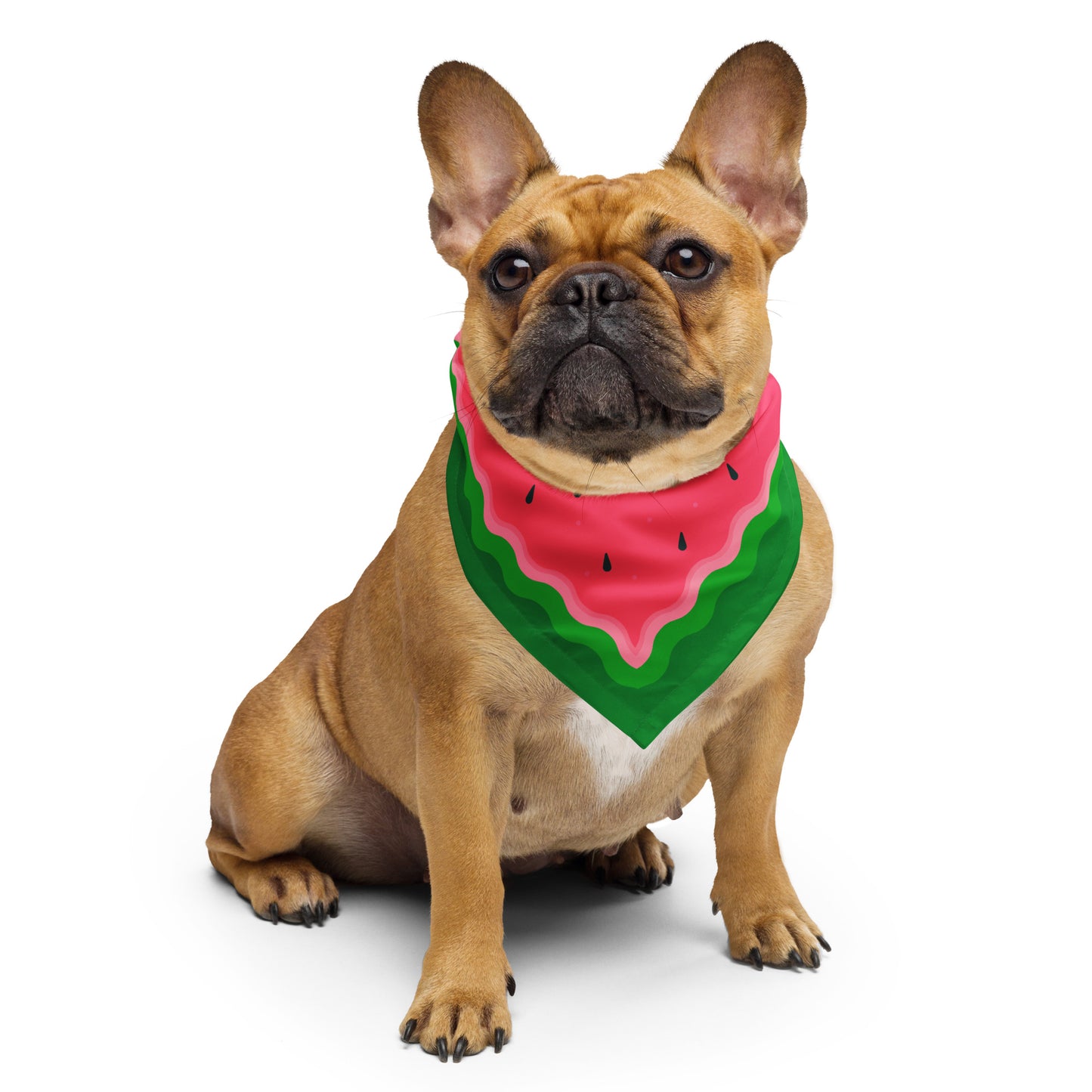 Palestine Watermelon All-over Print Bandana